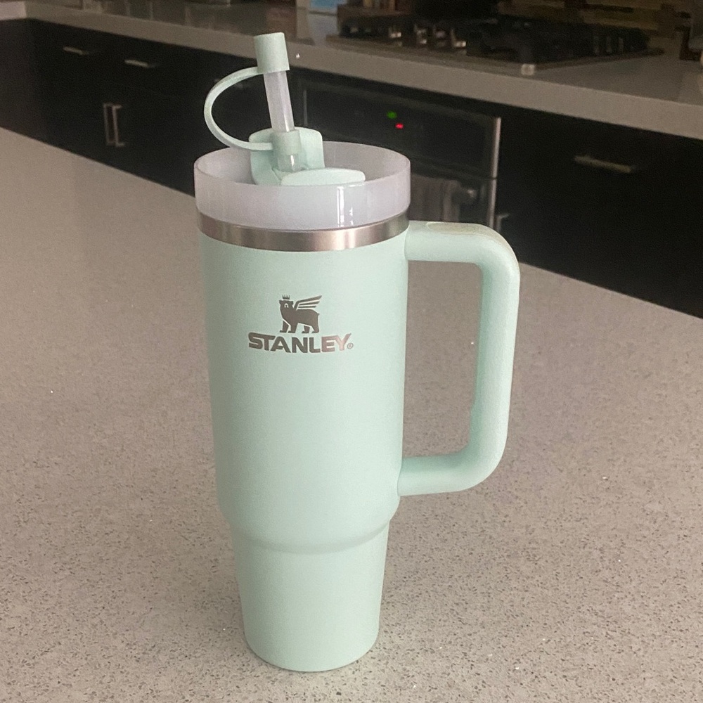 Stanley 30oz Mint Tumbler w/ Straw